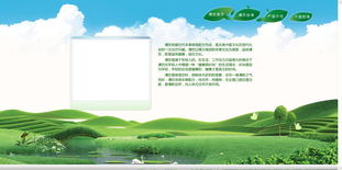 企業產品網站設計制作 打造高效轉化的數字門面